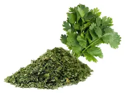 گشنیز خشک 100گرمی