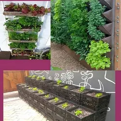 نحوه سبزی کاری- گلگاری