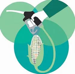 پایان نامه بررسی اقتصادی تولید اتانول از گیاه نیشکر و جایگزینی آن با سوخت های فسیلی در ایران