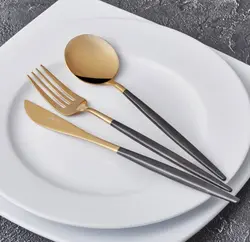 سرویس قاشق و چنگال 6 نفره جانبو مدل Colors