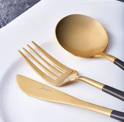 سرویس قاشق و چنگال 6 نفره جانبو مدل Colors