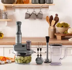 ربات غذاساز 4 کاره کاراجا مدل Prosteel mastermaid خاکستری