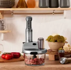 ربات غذاساز 4 کاره کاراجا مدل Prosteel mastermaid خاکستری