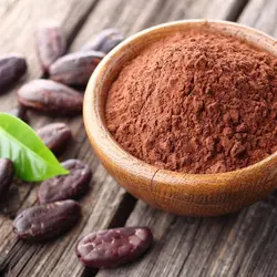 پودر کاکائو هلندی