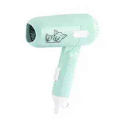 سشوار مسافرتی رنگ سبز Hair Dryer