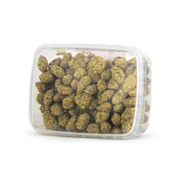 مغزانه پسته مجتهدی - مجتهدی، حس خوب هم باوری