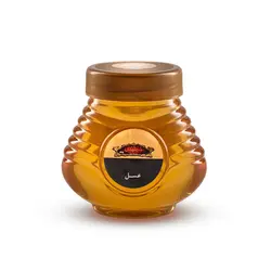 عسل اسطوخودوس 440 گرمی مجتهدی - مجتهدی، حس خوب هم باوری