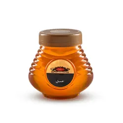 عسل خار زرد 440 گرمی مجتهدی - مجتهدی، حس خوب هم باوری