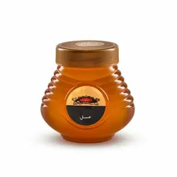 عسل گزانگبین 440 گرمی مجتهدی - مجتهدی، حس خوب هم باوری
