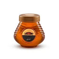 عسل نمدار جنگلی 440 گرمی مجتهدی - مجتهدی، حس خوب هم باوری