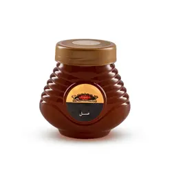 عسل یونجه 440 گرمی مجتهدی - مجتهدی، حس خوب هم باوری