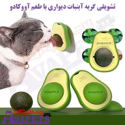 قیمت و خرید تشویقی گربه آبنبات دیواری با طعم آووکادو