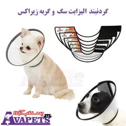 قیمت و خرید گردنبند الیزابت سگ و گربه زیراکس | پت شاپ آوا