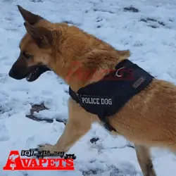 خرید قلاده تنی سگ مدل Police Dog | قیمت قلاده تنی سگ پلیس