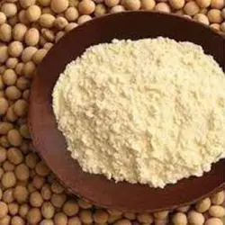 ایزوله سویا پودر 1000 گرمی غیر تراریخته برند یوکسین