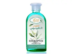 شامپو بدن اکالیپتوس