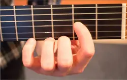 فینگربورد یا صفحه ی انگشت گذاری گیتار | نترینا