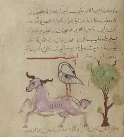 خرید کتاب نکرونومیکون نسخه اصلی فارسی - مکتب دیتا