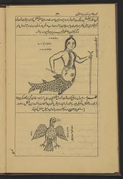 دانلود کتاب علوم غریبه نسخه ی کامل در فرمت پی دی اف - مکتب دیتا