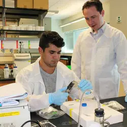 سوالات استخدامی مهندسی مواد pdf 1403 با جواب