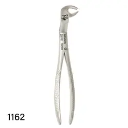 فورسپس بزرگسال دنا پویا