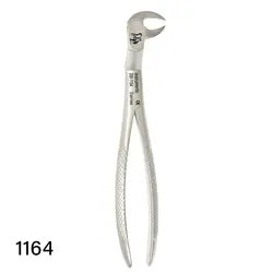 فورسپس بزرگسال دنا پویا