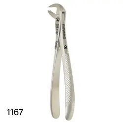 فورسپس بزرگسال دنا پویا