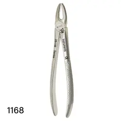 فورسپس بزرگسال دنا پویا