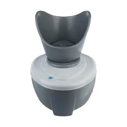 بخور گرم ریگون مدل Rigon