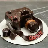 لواشک سورپرایز مدل دوربین عکاسی /کیک دوربین/عکاسی/لواشک آنلاین/باکس هدیه/هدیه خاص