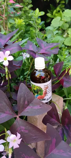 قطره رفع دستپاچگی