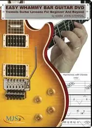 Easy Whammy Bar Guitar Tremolo Guitar Lessons For Beginner and Beyond - اچ ای متد
