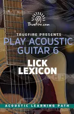 Play Acoustic Guitar 6 Lick Lexicon - اچ ای متد