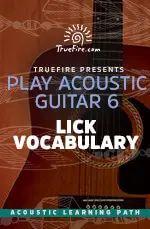 Play Acoustic Guitar 6 Lick Vocabulary - اچ ای متد