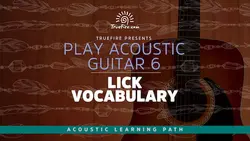 Play Acoustic Guitar 6 Lick Vocabulary - اچ ای متد