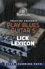 Play Blues Guitar 5 Lick Lexicon - اچ ای متد