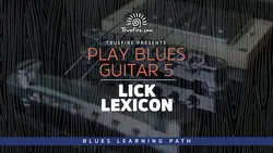 Play Blues Guitar 5 Lick Lexicon - اچ ای متد