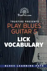 Play Blues Guitar 5 Lick Vocabulary - اچ ای متد