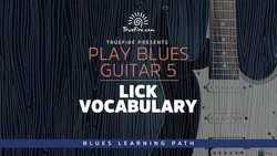 Play Blues Guitar 5 Lick Vocabulary - اچ ای متد