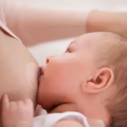 محافظ (رابط) سینه 2 عددی سایز S فیلیپس اونت Philips Avent