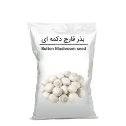 بذر قارچ دکمه ای