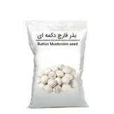 بذر قارچ دکمه ای