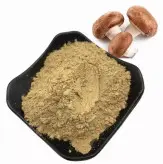 پودر قارچ شیتاکه  بسته 200گرمی