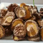 پودر قارچ شیتاکه  بسته 100گرمی