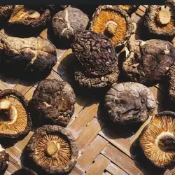 قارچ شیتاکه خشک  برای hpv  بسته 200گرمی