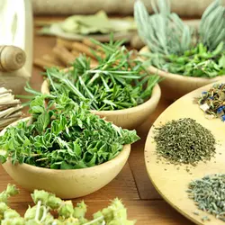 سبزی خشک سوپ پودینه طبس