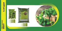 نعنا خشک پودینه طبس