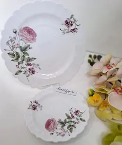 سرویس 6 نفره ارکوپال آریل صورتی درجه یک برند ایروپال25پارچه - فروشگاه کریستال فروزان | Forozan Crystal