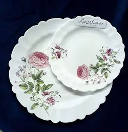 سرویس 6 نفره ارکوپال آریل صورتی درجه یک برند ایروپال25پارچه - فروشگاه کریستال فروزان | Forozan Crystal