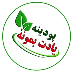 سبزی خشک مخصوص سوپ ، شسته شده،بدون خاک و معطر امسالی پودینه طبس(90گرمی)